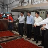 Đoàn Thanh tra liên ngành thành phố kiểm tra một cơ sở chế biến sản xuất khô bò tại quận Bình Tân, Thành phố Hồ Chí Minh. (Ảnh: Phương Vy/TTXVN)