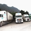 Hàng trăm xe container đang ùn tắc tại Cửa khẩu Quốc tế Thanh Thủy. (Ảnh: Minh Tâm/TTXVN)