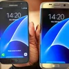 Sẽ có phiên bản Galaxy S7 Active chống thấm và vỏ cao su?