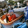 Một phụ nữ được lực lượng cứu hộ đưa ra khỏi đống đổ nát sau trận động đất ở Mashiki, tỉnh Kumamoto ngày 16/4. (Nguồn: AFP/TTXVN) 