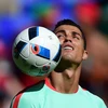 Người hâm mộ có quyền kỳ vọng vào việc Cristiano Ronaldo sẽ kéo Bồ Đào Nha vào sâu tại EURO 2016. (Nguồn: AFP)