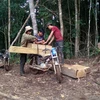 Lâm tặc công khai bốc xếp, vận chuyển gỗ lậu trên địa bàn xã Đăk Nhoong (Ảnh chụp ngày 20/6/2016). (Ảnh: Cao Nguyên/TTXVN)