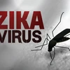 Mỹ thử thành công vắcxin phòng chống virus Zika trên động vật 