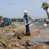 Đoàn viên thanh niên thu gom rác thải và làm sạch 2km bãi biển tại phường Mũi Né, thành phố Phan Thiết. (Ảnh: Nguyễn Thanh/TTXVN)