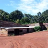 Bùng phát việc dựng nhà để chờ đền bù ở tỉnh Đắk Nông