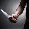 Xảy ra vụ người nhập cư tấn công bằng dao ở Phần Lan 