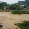 Nước lên cao tại Ngòi Đum chảy qua xã Đồng Tuyên (thành phố Lào Cai). (Ảnh: Lục Thu Hương/TTXVN)