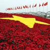Sứ quán Việt Nam tại Ai Cập tổ chức lễ kỷ niệm Quốc khánh