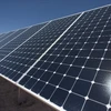 Doanh nghiệp Nhật Bản thuê đất sản xuất điện năng lượng Mặt Trời 