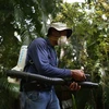 Phun thuốc diệt muỗi nhằm ngăn chặn sự lây lan của virus Zika tại Miami, Florida, Mỹ ngày 1/8. (Nguồn: AFP/TTXVN)