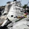 Mảnh vỡ máy bay MH17 rơi ở miền Đông Ukraine. (Nguồn: AFP)