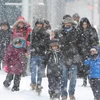 Bão tuyết ở Toronto. (Nguồn: CBC)