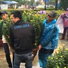 Chợ hoa Tết ở thành phố Huế tập nập ngày cuối năm. (Ảnh: Quốc Việt/Vietnam+)