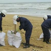 Thu gom dầu vón cục, rác thải dạt vào bờ biển huyện Núi Thành. (Ảnh: Đoàn Hữu Trung/TTXVN)