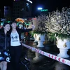 Người dân thàn phố Hải Phòng chụp ảnh lưu niệm với hoa Anh đào tại triển lãm. (Ảnh: Minh Thu/TTXVN)