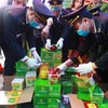 Lực lượng Hải quan kiểm tra một lô hàng Shisha chứa trong container tại chi nhánh cảng Tân Vũ, Hải Phòng. (Ảnh: Lâm Khánh/TTXVN)
