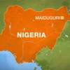 Hơn 20 người thương vong trong loạt vụ nổ bom ở Maiduguri