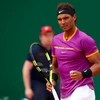 Không ai có thể cản được phong độ của "Bò tót Tây Ban Nha" Rafael Nadal vào lúc này. (Nguồn: Getty)