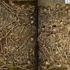 Phát hiện chấn động từ ngôi mộ tập thể chiến binh thế kỷ 17 ở Đức