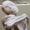 Phát hiện "xác ướp" kỳ lạ ở Peru được cho là của người ngoài hành tinh