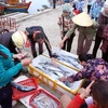 Hoạt động mua bán hải sản ở cảng cá Cửa Sót, xã Thạc Kim, huyện Lộc Hà (Hà Tĩnh). (Ảnh: Quang Quyết/TTXVN)