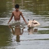 Cảnh ngập lụt tại quận Morigaon, bang Assam, miền Tây Ấn Độ ngày 12/7. (Nguồn: AFP/TTXVN)