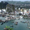 Đảo Cái Bầu là đảo trung tâm của khu kinh tế Vân Đồn, Quảng Ninh. (Ảnh: Minh Quyết/TTXVN)
