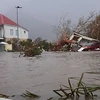 Siêu bão Irma gây lụt lội ở đảo Saint Martin, Caribe. (Nguồn: AFP)