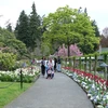 Vườn Burchart 100 năm tuổi, hội tụ gần 1.000 loài hoa và được mệnh danh là “vườn địa đàng nơi hạ giới." (Ảnh: Vũ Hà/Vietnam+)