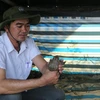 Anh Cao Phú Khánh kiểm tra sự sinh trưởng của ếch do anh nuôi. (Ảnh: Thanh Bình/TTXVN)