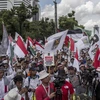 Người dân Indonesia tham gia biểu tình ủng hộ người dân Palestine tại Jakarta ngày 10/12. (Nguồn: AFP/TTXVN)