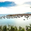 [Photo] Vẻ đẹp thanh bình trên xã đảo Nghi Sơn của tỉnh Thanh Hóa 