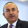 Ngoại trưởng Thổ Nhĩ Kỳ Mevlut Cavusoglu phát biểu trong một cuộc họp tại Ankara. (Nguồn: AFP/TTXVN)