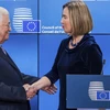 Bà Mogherini bắt tay Tổng thống Palestine Abbas trong cuộc họp báo chung ở trụ sở EU, Brussels, ngày 22/1. (Nguồn: Reuters)