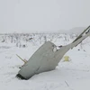 Hình ảnh đầu tiên về mảnh vỡ chiếc máy bay An-148 tại hiện trường. (Nguồn: Reuters)