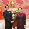 Chủ tịch Quốc hội Nguyễn Thị Kim Ngân tiếp Phó Chủ tịch Quốc hội Myanmar Eye Thar Aung. (Ảnh: Dương Giang/TTXVN)