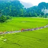 Ninh Bình tưng bừng khai mạc lễ hội truyền thống đền Thái Vi 