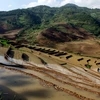 Hình ảnh miền núi tỉnh Lai Châu nhộn nhịp vào mùa nước đổ