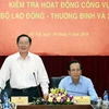 Bộ trưởng Bộ Lao động-Thương binh và Xã hội Đào Ngọc Dung phát biểu tại buổi làm việc. (Ảnh: Anh Tuấn/TTXVN)