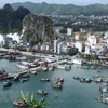 Đảo Cái Bầu là đảo trung tâm, giàu nguồn tài nguyên của huyện Vân Đồn, Quảng Ninh. (Ảnh: Minh Quyết/TTXVN)