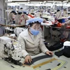 Công nhân may trong một nhà máy ở Triều Tiên. (Nguồn: Reuters)