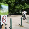 Biển báo cấm hút thuốc trong công viên ở Strasbourg. (Nguồn: AFP)