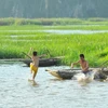 Trẻ em tắm sông tại đầm Vân Long huyện Gia Viễn, Ninh Bình. Ảnh minh họa. (Ảnh: Minh Đức/TTXVN)