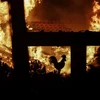 Nhà cửa bị thiêu rụi trong vụ cháy rừng tại Kineta, gần Athens, Hy Lạp ngày 23/7. (Nguồn: EFE-EPA/ TTXVN)