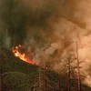 Khói lửa bốc lên từ đám cháy rừng ở vườn quốc gia Yosemite, bang California, Mỹ ngày 21/7. (Nguồn: AFP/TTXVN