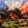 Lính chữa cháy nỗ lực dập lửa cháy rừng ở Verori, gần thành phố Loutraki, Peloponnese, miền nam Hy Lạp ngày 24/7.(Nguồn: EPA-EFE/ TTXVN)