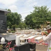 Ngôi mộ tập thể của 120 liệt sỹ tại Nghĩa trang liệt sỹ Vĩnh Hưng-Tân Hưng. (Ảnh: Bùi Giang/TTXVN)