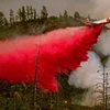 Máy bay tham gia dập lửa cháy rừng tại vườn quốc gia Stanislaus, California ngày 21/7. (Nguồn: AFP/TTXVN)