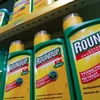 Thuốc diệt cỏ Roundup của công ty hóa chất Mỹ Monsanto. (Nguồn: aljazeera.com)