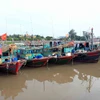 Tàu, thuyền vào neo đậu tránh bão an toàn tại khu cảng cá Ngọc Hải, Đồ Sơn. (Ảnh: An Đăng/TTXVN)